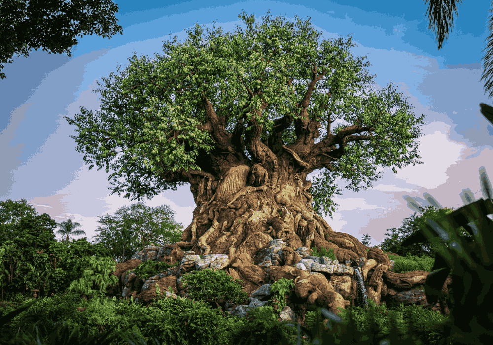 Disney's Animal Kingdom walking tour through wildlife habitats, themed lands and attractions in Florida