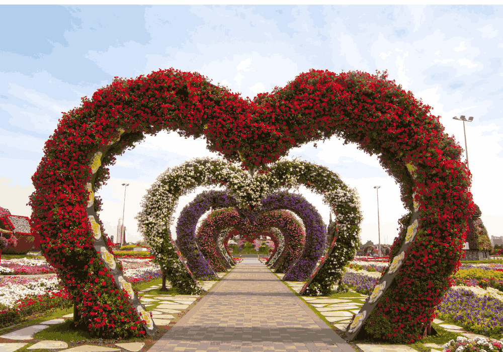Dubai Miracle Garden walking tour through colorful floral displays in United Arab Emirates